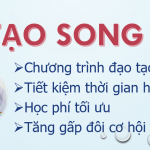 Học cùng lúc hai chương trình đào tạo (học song ngành)