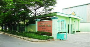 Tuyển dung công ty PTE 2022
